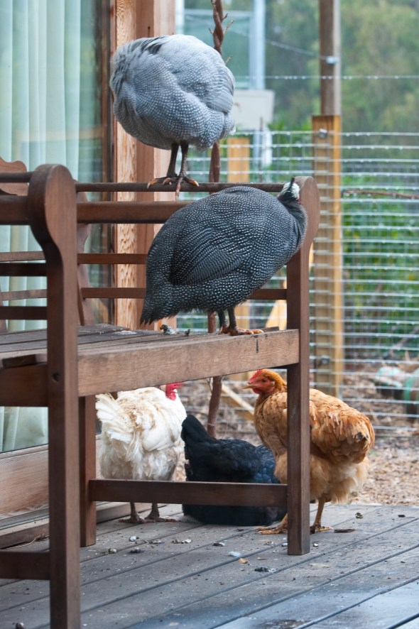 waiting out the rain