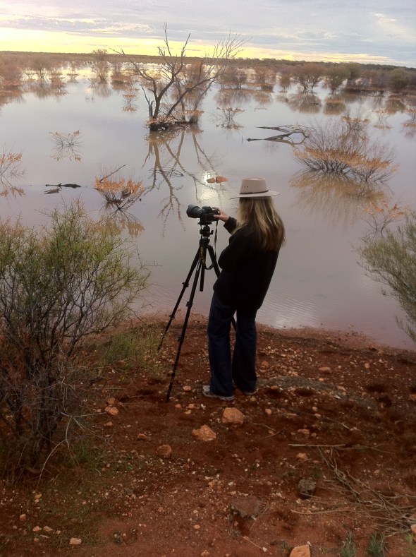 red centre dawn