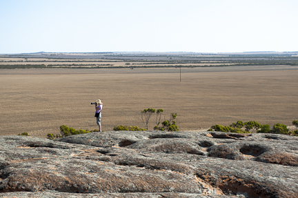 Gawler Ranges