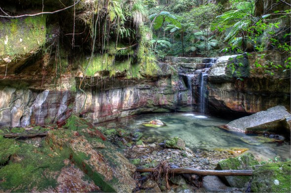 Magical Moss Garden at Carnarvon