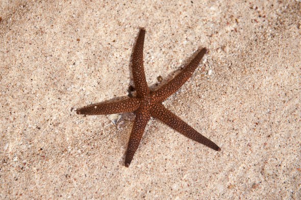 Stars above and below, Gnaraloo, WA