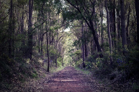 131003_MargRiver_3762 lomo