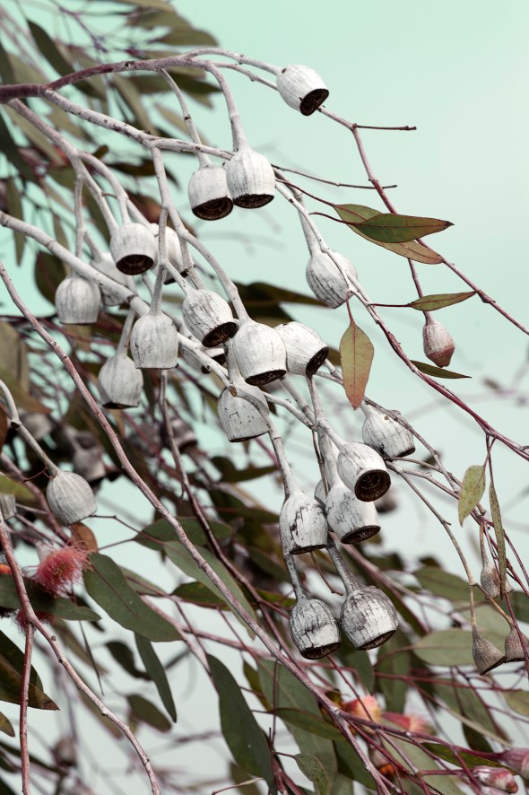 Iconic Australian Imagery