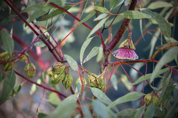 140612_Flora_1708_SQSP