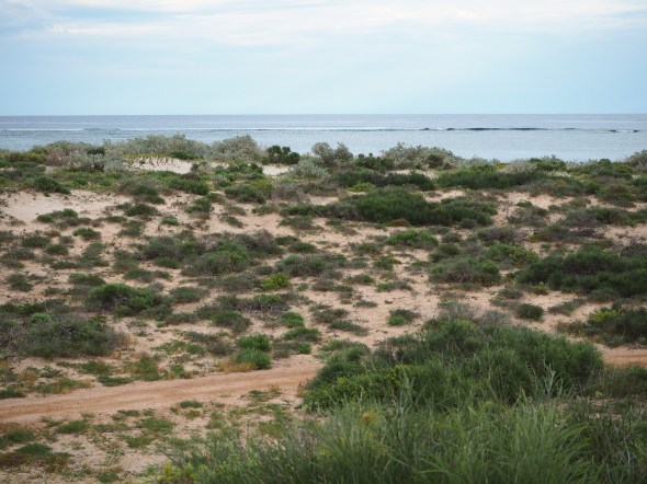 Sal Salis whale watching spot