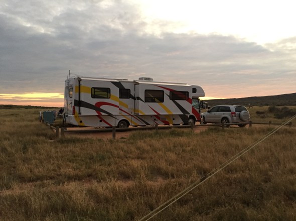 The carnival has arrived