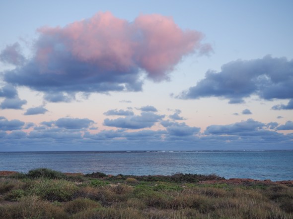 Dawn from the front yard at Osprey Camp