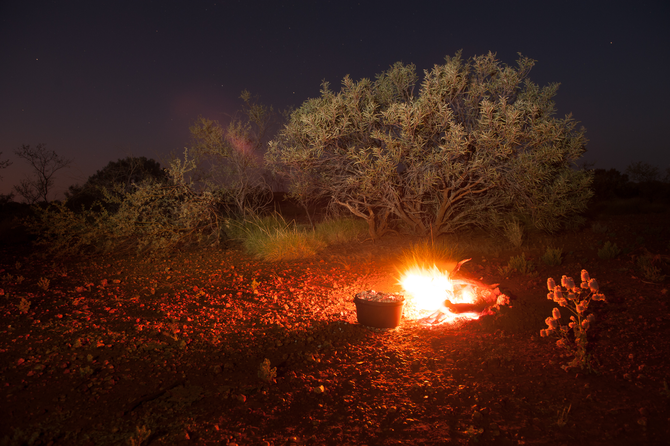 Authentic bush camp with camp oven