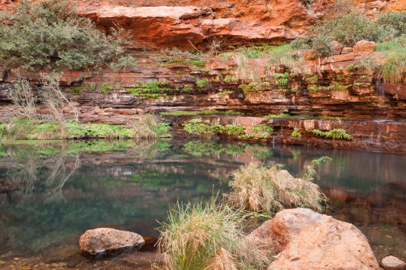 I waited for the nude swimmer to leave, Circular Pool, Karijini