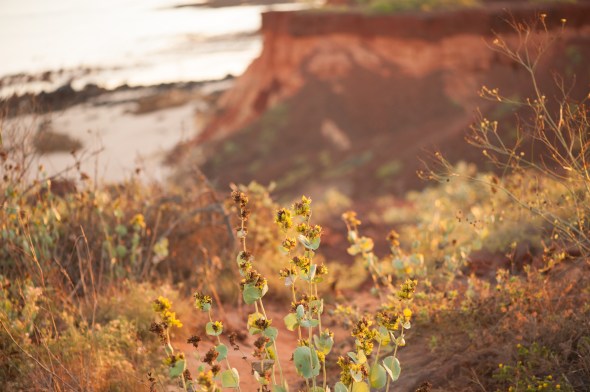 150917-4858-broome CL