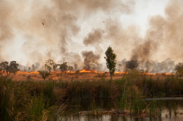 Ord River. 80% of bushfires are deliberately lit