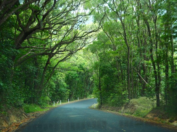 The road from Cooktown to Cairns through the Daintree and Cape Tribulation