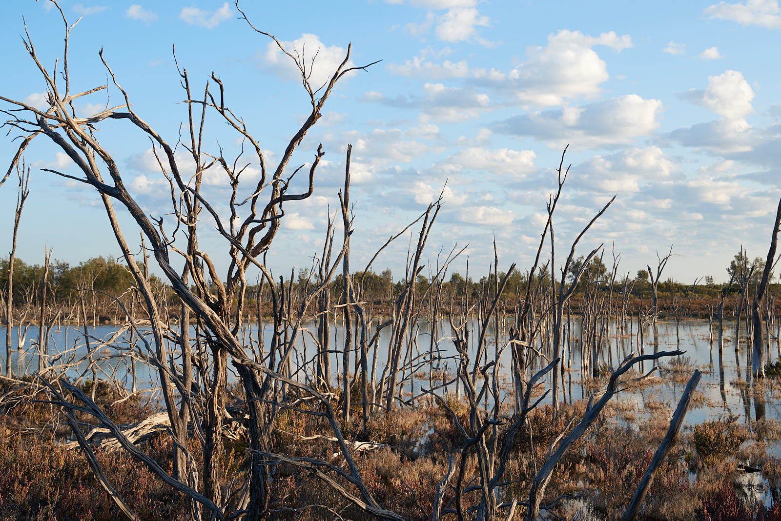 18-10-03-Roadtrip-259