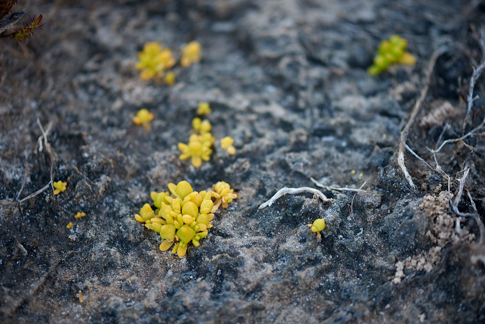 18-10-03-Roadtrip-282