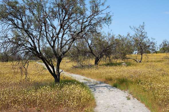 18-10-03-Roadtrip-362