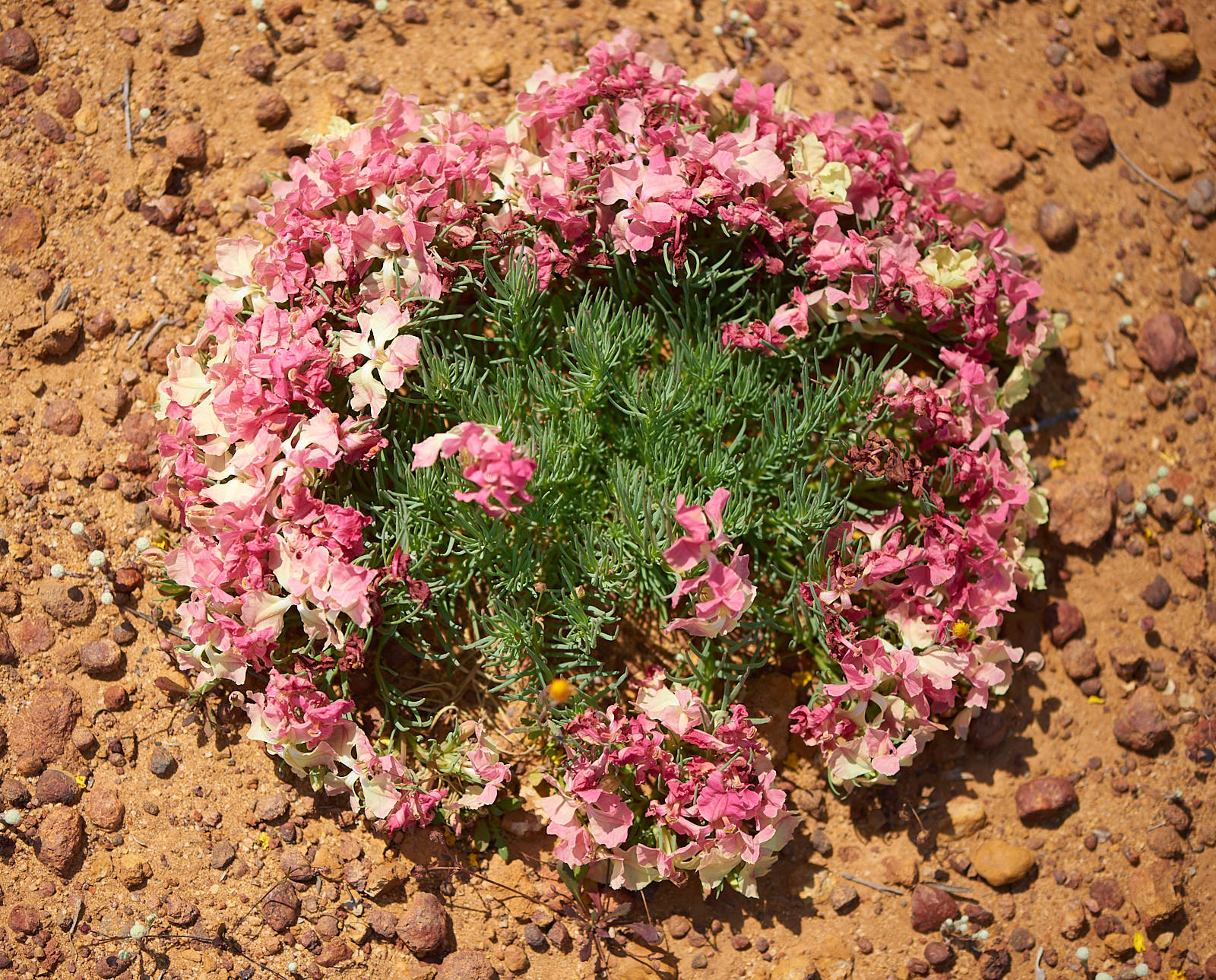 18-10-03-Roadtrip-396