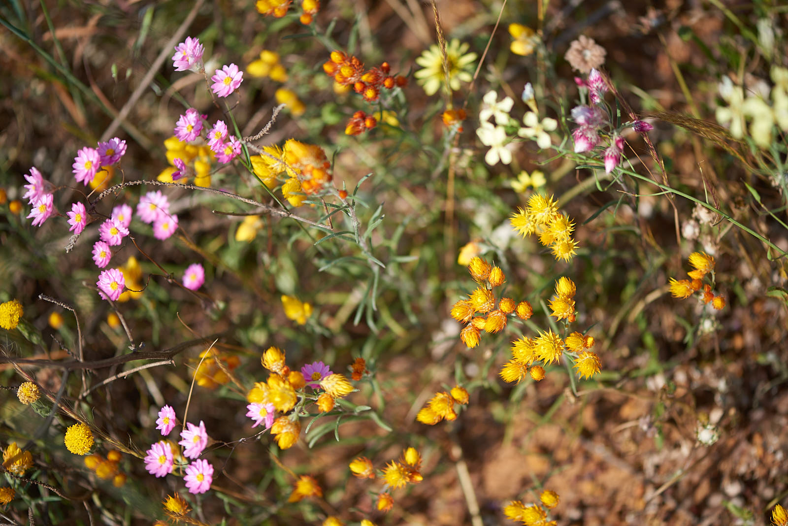 18-10-03-Roadtrip-411