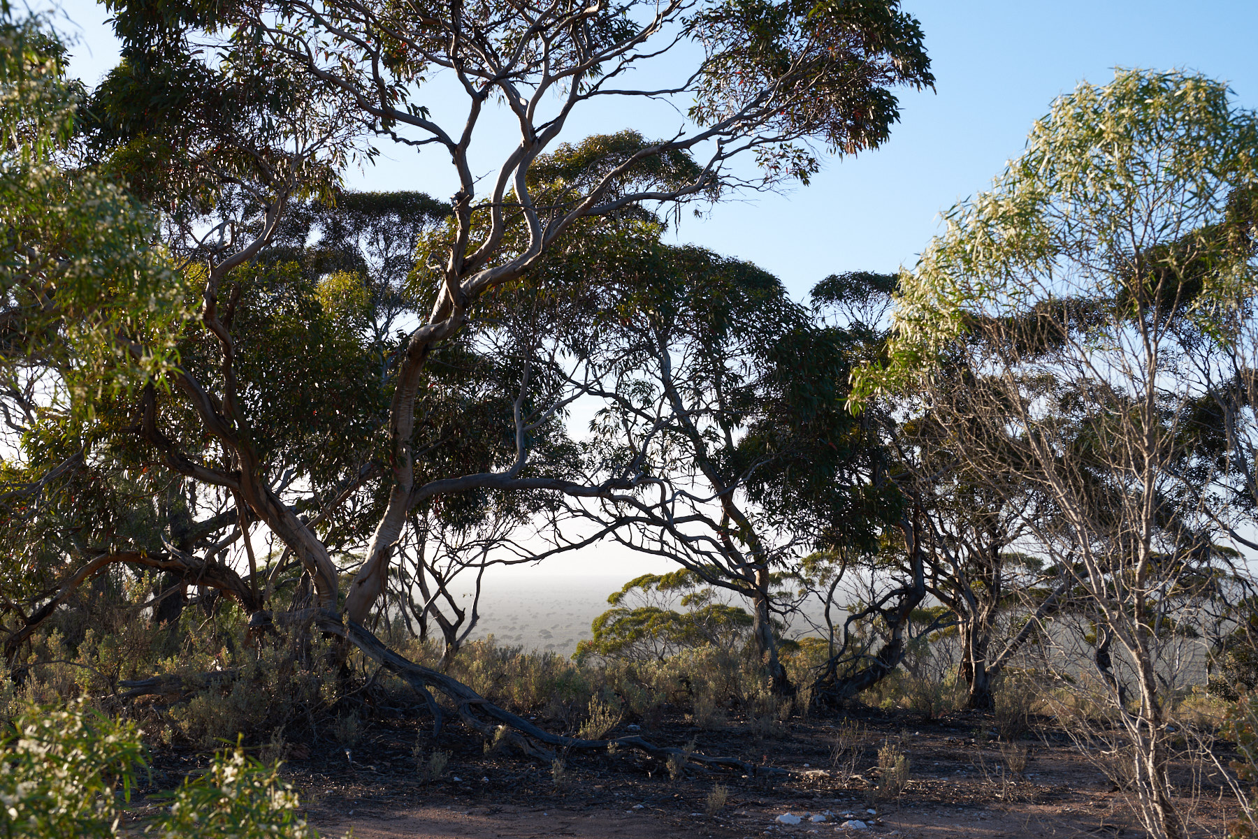 181023_MaduraLookout 21